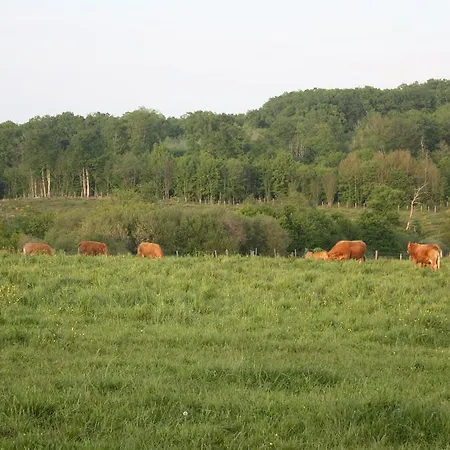 Le Relais De Chantecor La Coquille