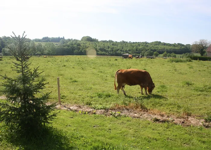 Le Relais De Chantecor Oda ve Kahvaltı