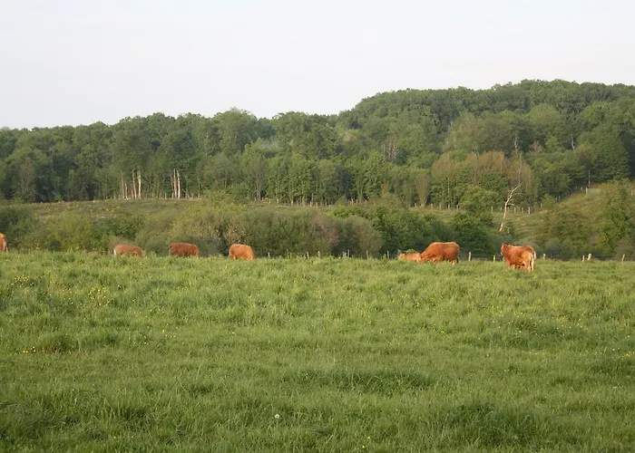 Le Relais De Chantecor La Coquille