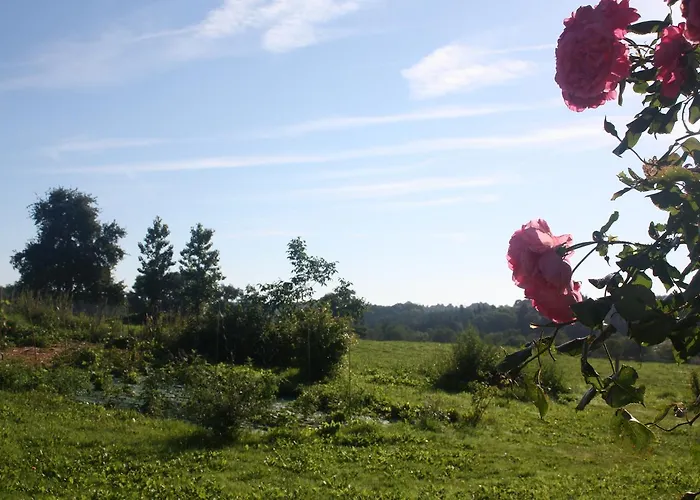 Le Relais De Chantecor 3* La Coquille